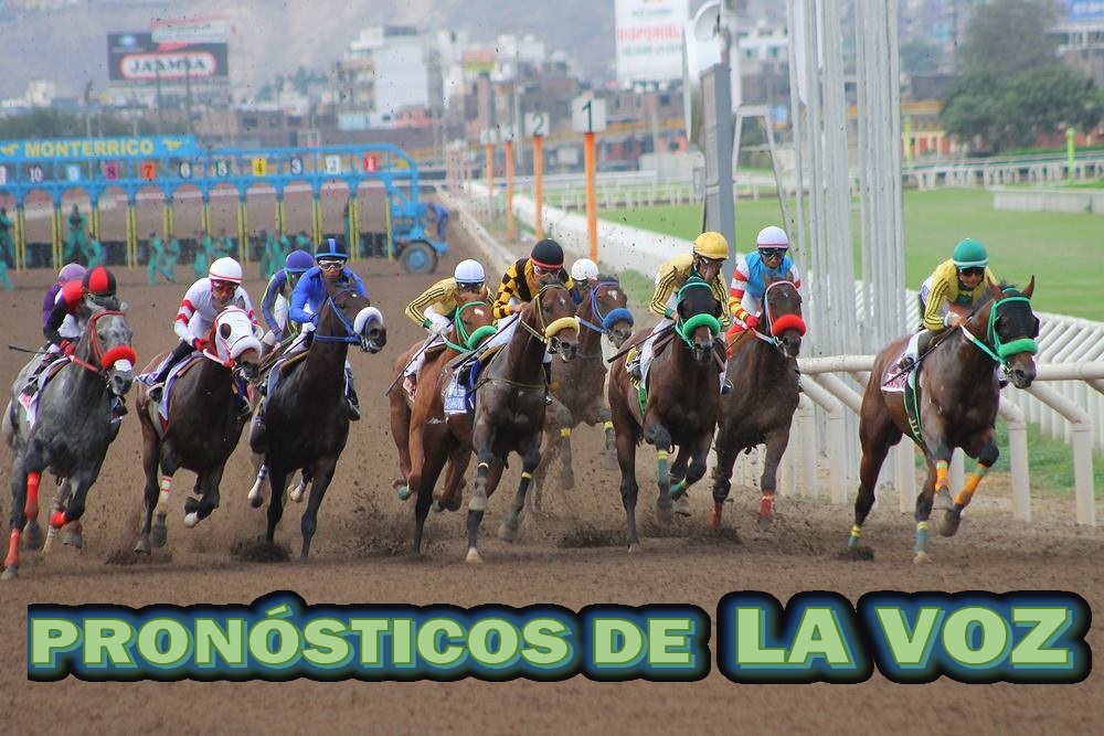 PRONÓSTICOS DOMINGO 12.07.26